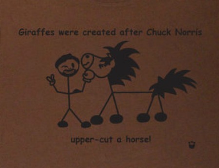 Chuck Norris Joke How Giraffes Were Created From Horses (Click image to get Geek Tshirt!)