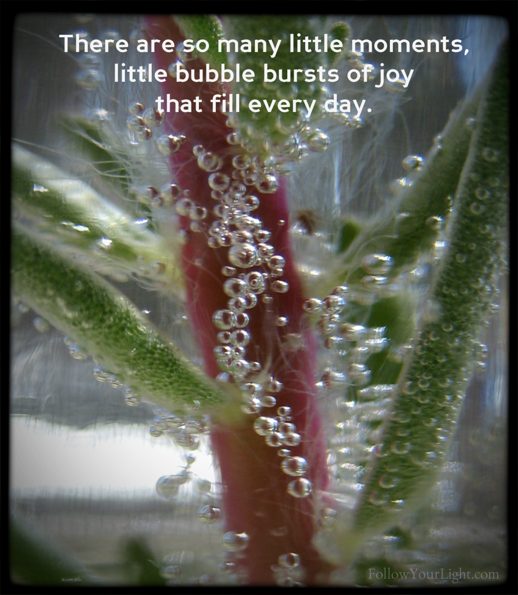 Bubbles Of Joy Every Day
