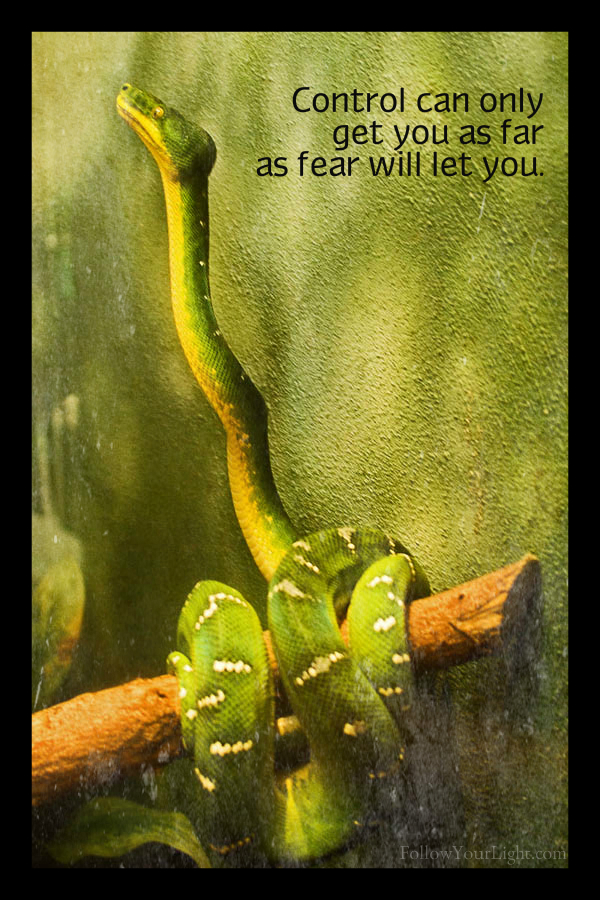 How Far Will Fear Take You