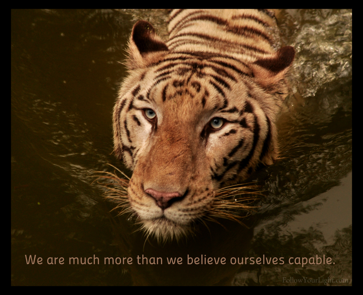 More Than Capable