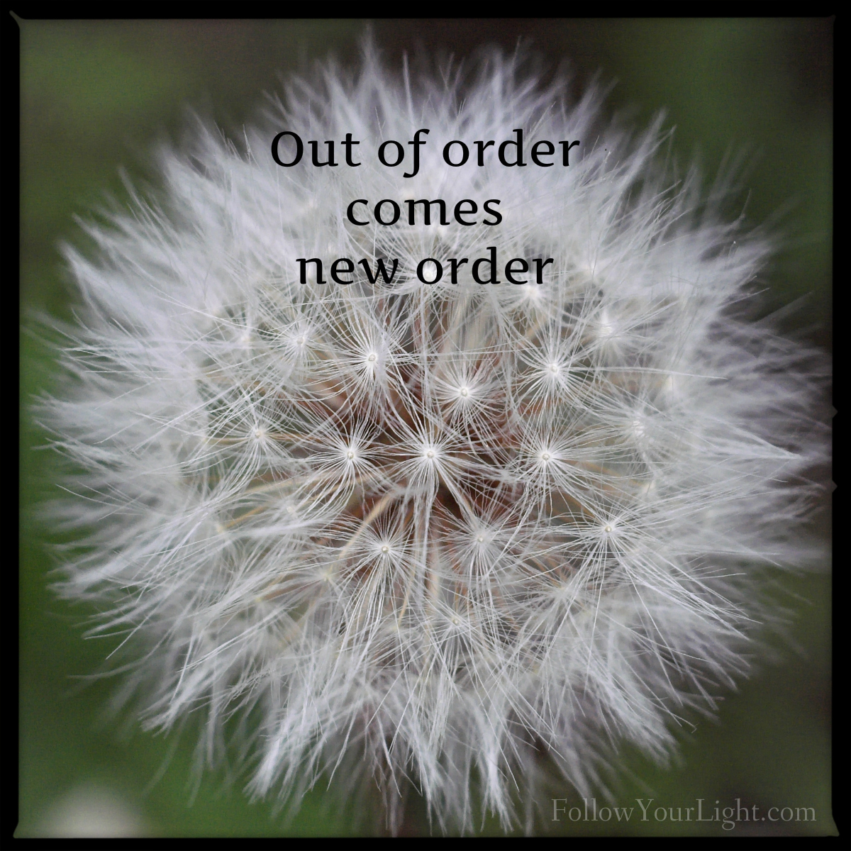 Out Of Order Into New